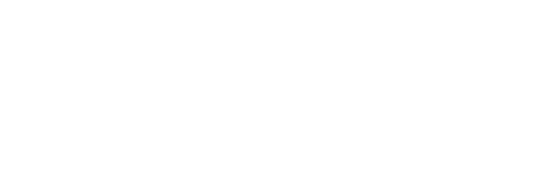 Buses Pullman Tur