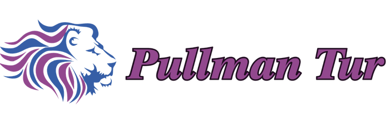 Buses Pullman Tur